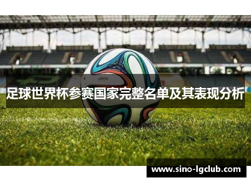 足球世界杯参赛国家完整名单及其表现分析