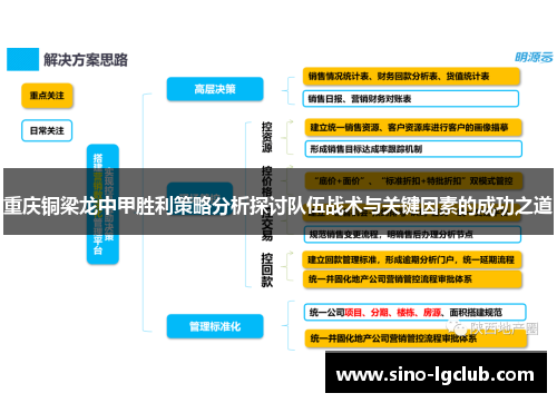 重庆铜梁龙中甲胜利策略分析探讨队伍战术与关键因素的成功之道