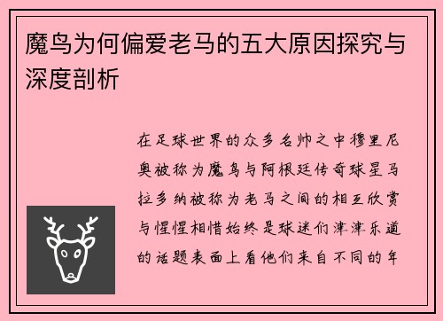 魔鸟为何偏爱老马的五大原因探究与深度剖析